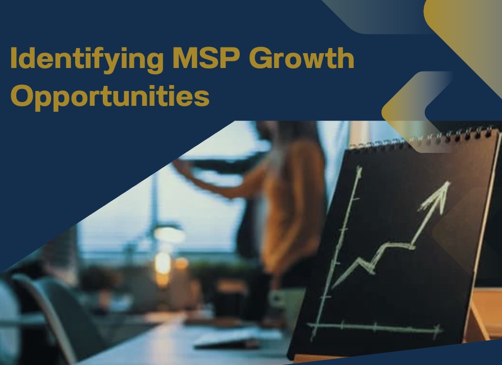 msp sales growth